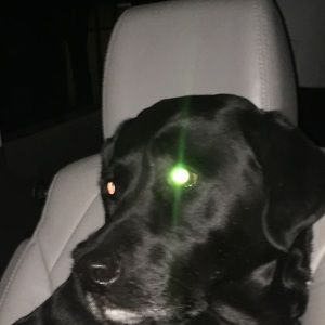 Meet your Posher, Zane